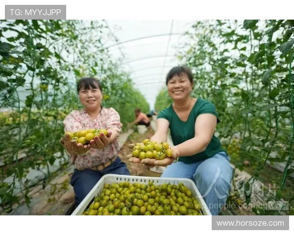 选择AG打鱼官网娱乐平台，体验最专业的线上捕鱼平台带来的极致娱乐享受