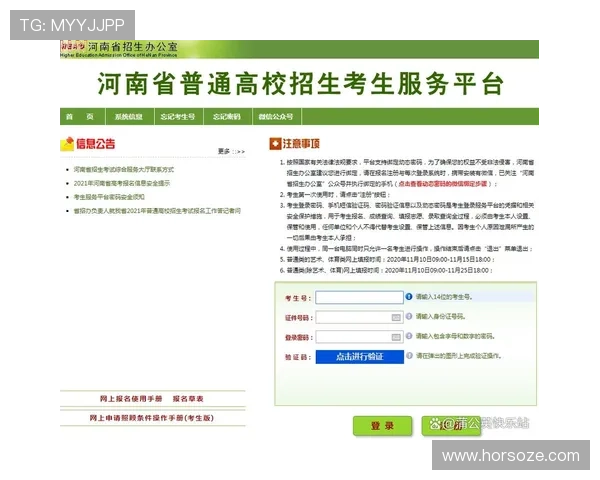 2024年9游官网入口登录详细流程及常见问题解决方案全解析